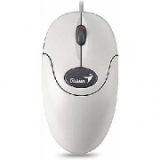 Мышь Genius NetScroll 110 White оптическая (GM-Nscr 110 Wh U)
